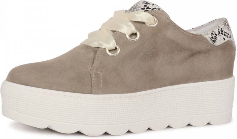 Roberto D'Angelo 605 sneaker taupe