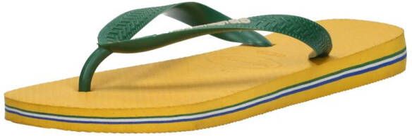 Havaianas Brasil Logo