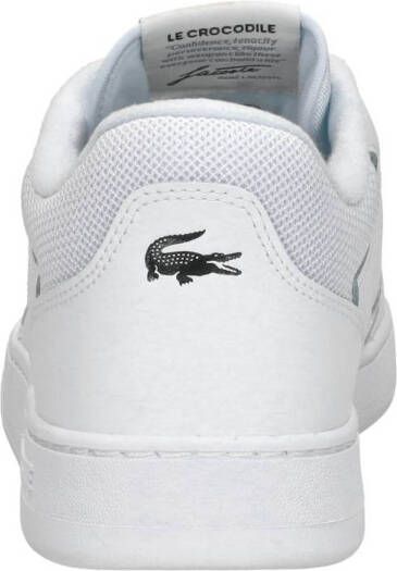 Lacoste Lineset