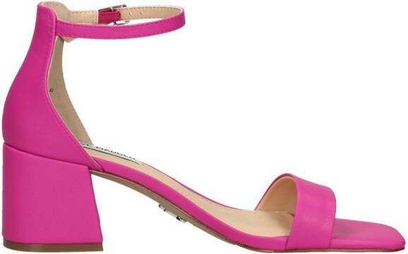 Steve Madden Low Tide Fuchsia