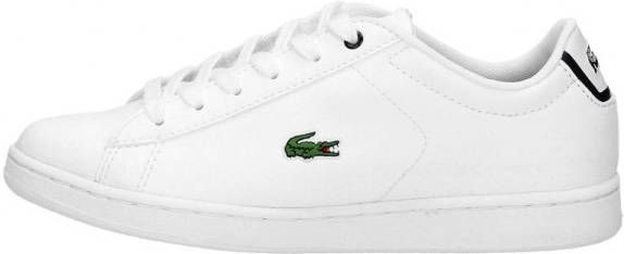 Lacoste Carnaby Evo