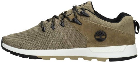 Timberland Sprint Trekker Low Knit