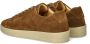 Blackstone CATO VICTOR Tabacco Sneaker (low) Man Light brown - Thumbnail 12