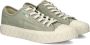 Palladium Palla Ace Low Sneakers grijs Canvas Dames - Thumbnail 15