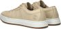 Timberland Maple Grove nubuck sneakers beige - Thumbnail 5