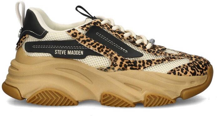 Steve Madden Possession-E lage sneakers