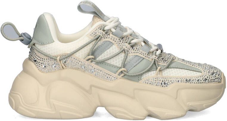 Steve Madden Spectator-R sneakers