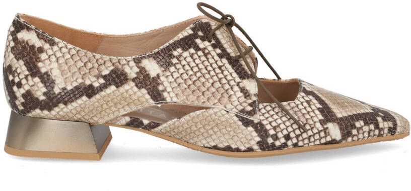 Hispanitas Dali 253858 snake taupe multi bruin