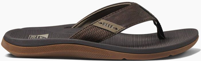 Reef Santa ana CI4651 brown Bruin