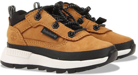 Timberland Field Trekker Low