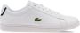 Lacoste Carnaby Evo Heren Schoenen White Leer Foot Locker - Thumbnail 7