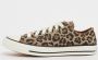 Converse Chuck Taylor All Star Chuck Taylor in bruin formaten: 36.5 - Thumbnail 2