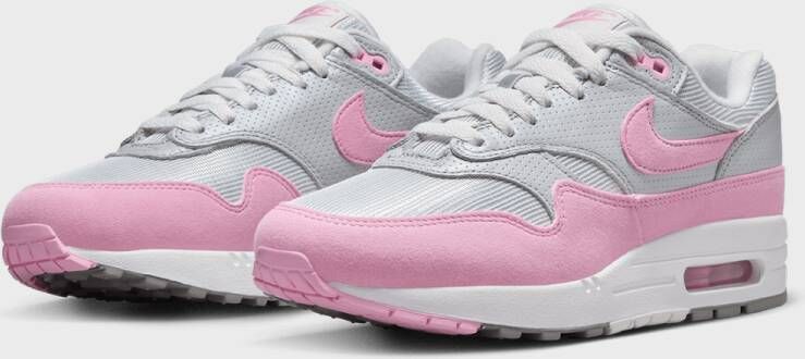 Nike WMNS Air Max 1 '87 in Grijs