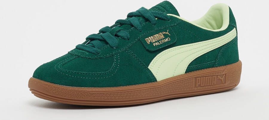 Puma Palermo Jr in groen formaten: 36