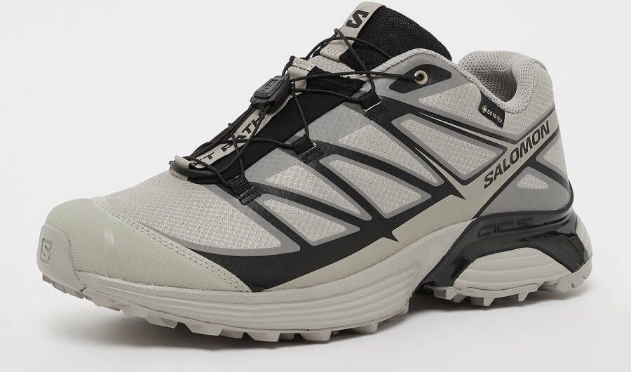 Salomon XT-Pathway GTX flint gray flint gray black in beige formaten: 42