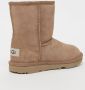 Ugg Classic II (PS) Boots in bruin formaten: 33.5 - Thumbnail 3