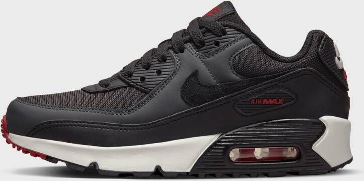 Nike Air Max 90 LTR (GS)