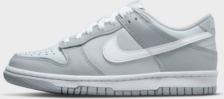 Nike Dunk Low (GS) in Grijs