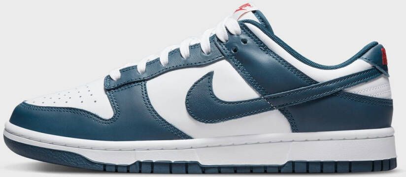 Nike Dunk Low Retro in blauw formaten: 45