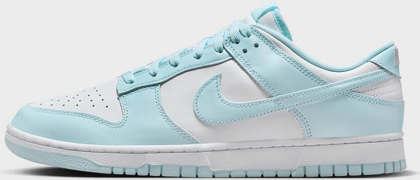 Nike Dunk Low Retro in Turkoois