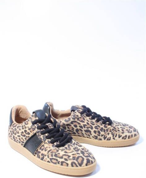 Dwrs label Dames sneakers bruin