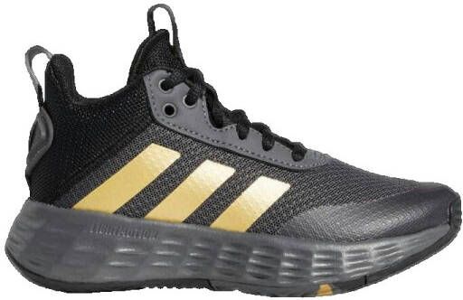 Adidas Basketbalschoenen Ownthegame 20