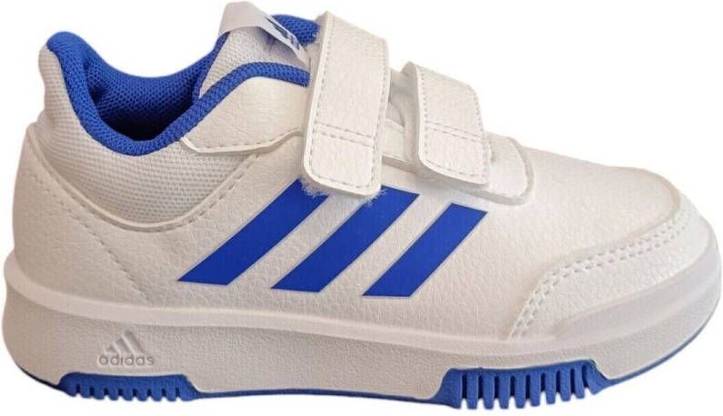 Adidas Sneakers hoops