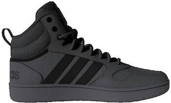 Adidas Sneakers Hoops 30 Wtr