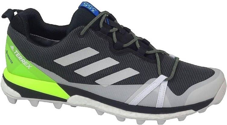 Adidas Sneakers Terrex Skychaser Lt Gtx