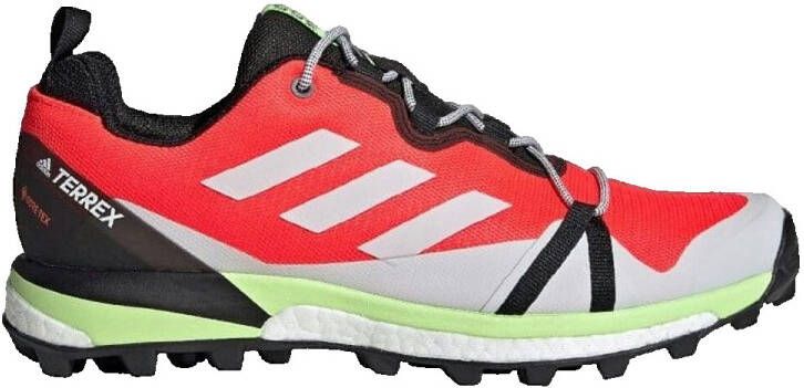 Adidas Sneakers Terrex Skychaser Lt Gtx