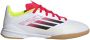 Adidas Perfor ce F50 League Indoor Voetbalschoenen Kids Kinderen Wit - Thumbnail 1