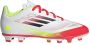 Adidas F50 Club FG Children Cloud White Core Black Solar Yellow Cloud White Core Black Solar Yellow - Thumbnail 4