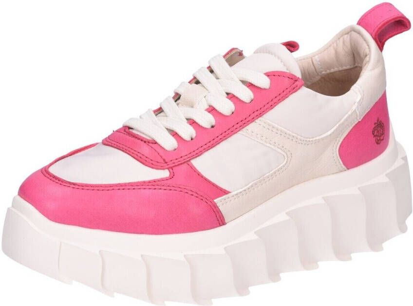 Apple of Eden Sneakers