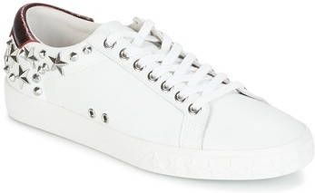 Ash Lage Sneakers DAZED