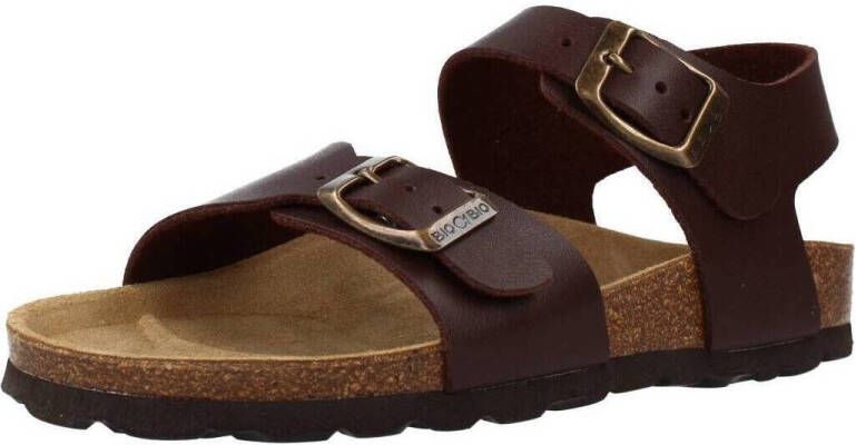 Bio Sandalen 71123ZOKO