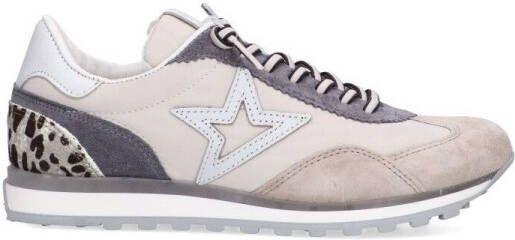 Cetti Sneakers 76814