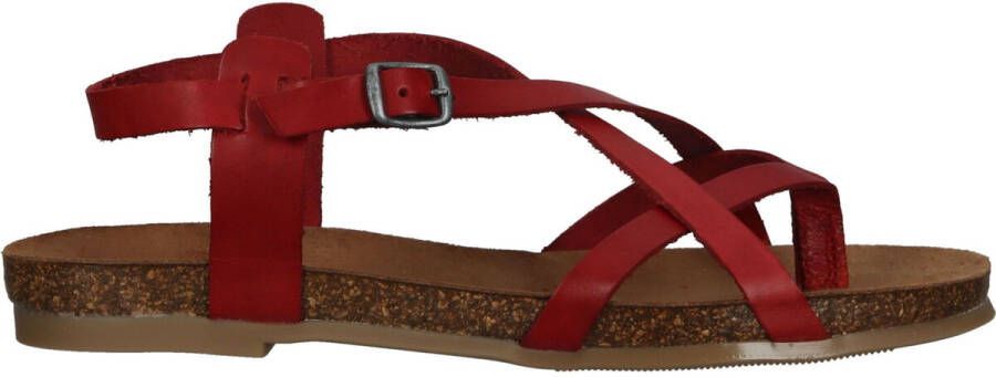 Cosmos Comfort Sandalen