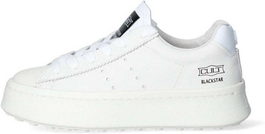 Cult Sneakers