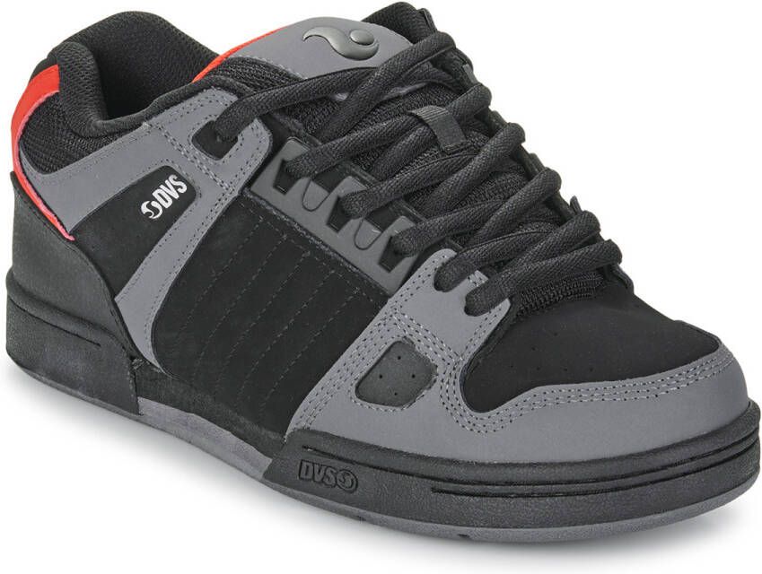 DVS Lage Sneakers CELSIUS