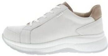 Finn Comfort Sneakers Lafayette