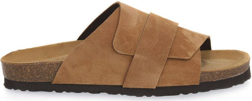 Frau Slippers SUEDE TERRA