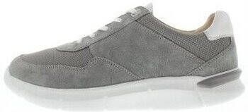 Ganter Sneakers George G