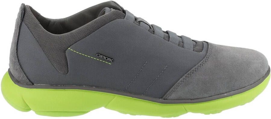 Geox Lage Sneakers Sneaker