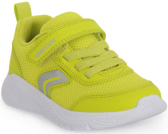 Geox Sneakers 3008 SPRINTYE