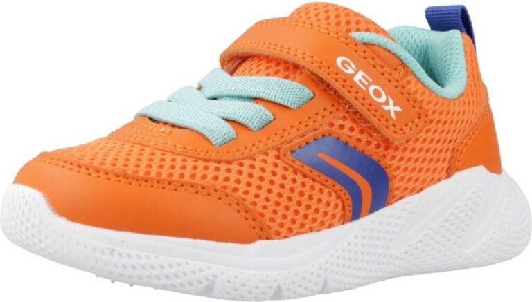 Geox Sneakers B SPRINTYE B. C