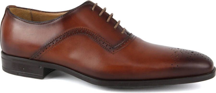 Giorgio Mocassins Scandicci Schoen Bruin 110