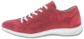 Hartjes Sneakers Care SF SHOE D