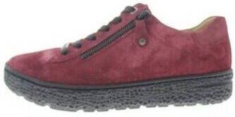 Hartjes Sneakers Phil Shoe