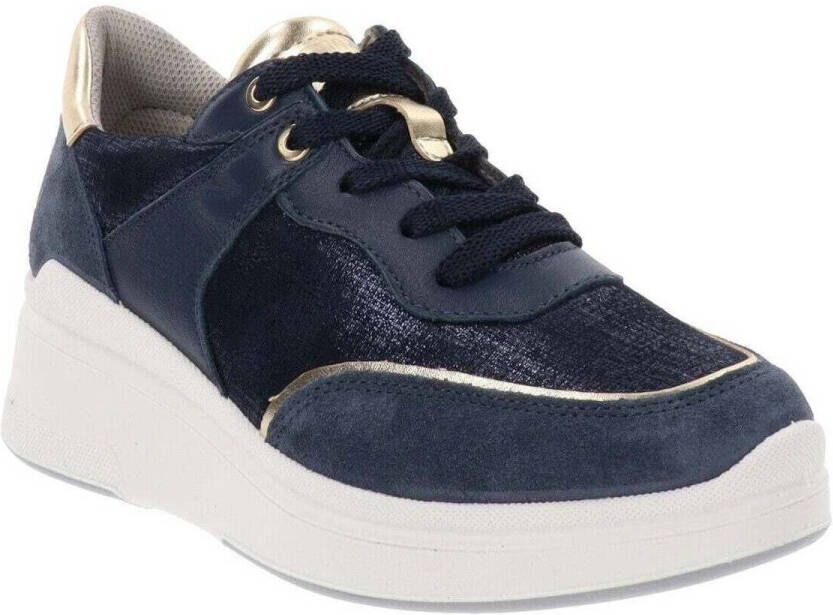 IGI&Co Sneakers IgI&CO IG-5654600