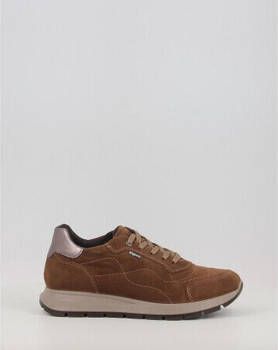 IGI&Co Sneakers IgI&CO DEMGT 66726